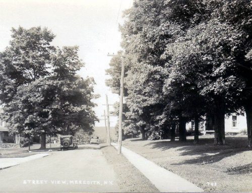 View Down Sawmill Road