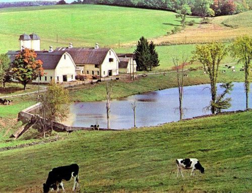 Twin Barns In The Post-Meridale Farms Era