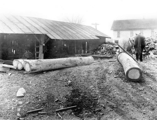 Meridale Sawmill circa 1915